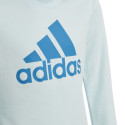 Sweatshirt adidas Big Logo Swt Jr HM8707 (152 cm)