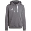 Sweatshirt adidas Entrada 22 Sweat M HB0578 (M)
