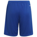 Adidas Entrada 22 Short Y Jr HG6291 (128 cm)