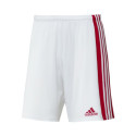 Adidas Squadra 21 Short M GN5770 (S)