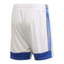 Adidas Tastigo 19 Shorts M FI6355 (XXL)