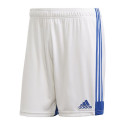 Adidas Tastigo 19 Shorts M FI6355 (S)