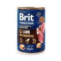 Dog Food - Nature's Best Lamb & Buckwheat, Blue