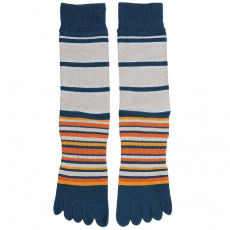 SOKISAHTEL PERRY hallid triibulised varvassokid meestele 446