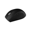 MediaRange MROS105 keyboard Mouse included RF Wireless QWERTZ English Black, Silver