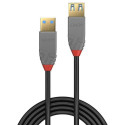 Lindy 3m USB 3.2 Type A Extension Cable, 5Gbps, Anthra Line