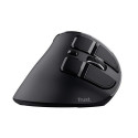 Trust Voxx mouse Office Right-hand RF Wireless + Bluetooth Optical 2400 DPI