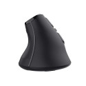 Trust Voxx mouse Office Right-hand RF Wireless + Bluetooth Optical 2400 DPI