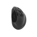 NATEC Euphonie mouse Office Right-hand Bluetooth Optical 2400 DPI