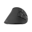 NATEC Euphonie mouse Office Right-hand Bluetooth Optical 2400 DPI