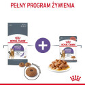 ROYAL CANIN Isu Kontrolli tükid kastmes - märg kassitoit - 12 x 85g