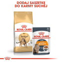 ROYAL CANIN FBN Bengali täiskasvanud kasside kuivtoit - 10kg