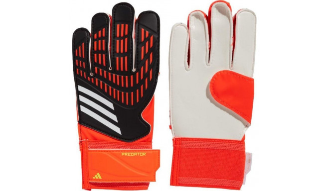 Adidas Predator GL TRN Jr Kindad IQ4029