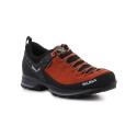 Salewa MS MTN Trainer 2 GTX M 61356-7519 shoes (EU 41)