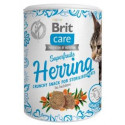 BRIT CARE CAT SUPERFRUITS HERRING 100G