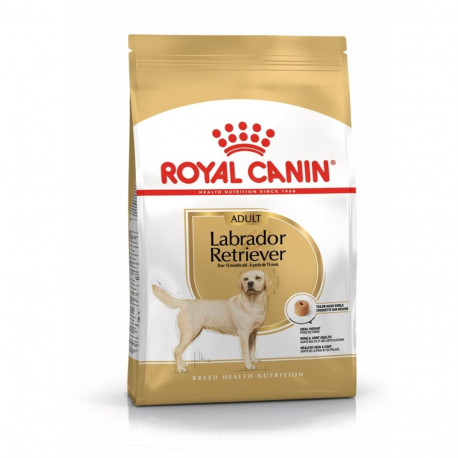 Dry Dog Food - Royal Canin Labrador Adult 12kg