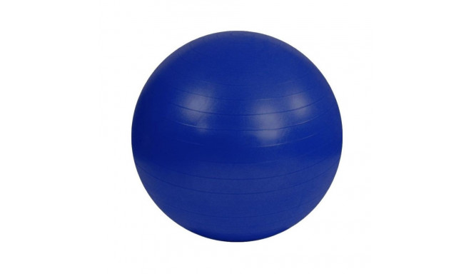 Anti-Burst gymnastics ball S825760 (55 cm)