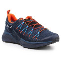Salewa MS Dropline GTX M 61366-8669 shoes (EU 45)