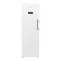 Freezer Beko B5RMFNE314W