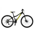Autor A-Matrix jalgratas, 26'', Phantom Black matt/must matt