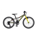 Author Record bicycle, 20'', Temple Grey/Lime