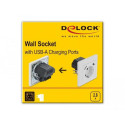 DeLOCK Wall Socket with 2 x USB Type-A Charging Port 2.8 A