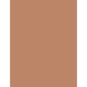 Max Factor Facefinity Bronzer Powder (10ml) (002 Warm Tan)