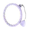 Hula hop with magnets, weight and counter HMS HHM14 purple