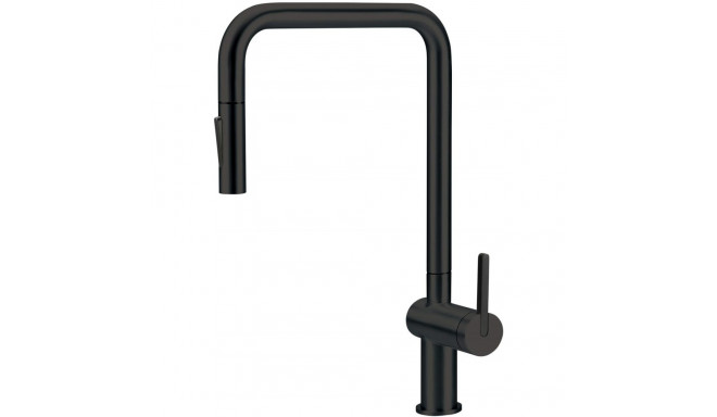 Kitchen faucet with pull-out spout
