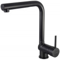 Kitchen faucet with pull-out spout