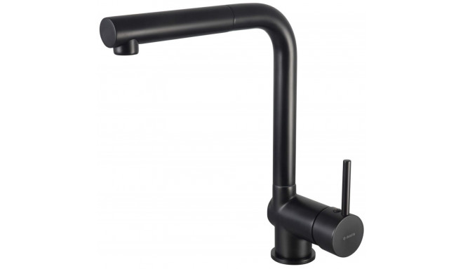 Kitchen faucet with pull-out spout
