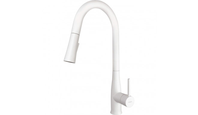 Kitchen faucet with pull-out spout