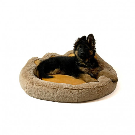 Pet Bed - Go Gift Camel 55x55