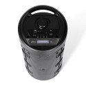 Portable Bluetooth Speaker - PARTYBOX MT3165 V2.0 40W Black