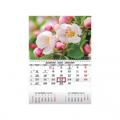 Seinakalender MONO pilt nr. 24 2026a.