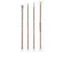 PALOMA BEAUTIES SET DE EXTRACCIÓN DE PUNTOS NEGROS 4 u