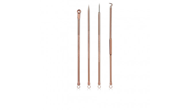 PALOMA BEAUTIES SET DE EXTRACCIÓN DE PUNTOS NEGROS 4 u