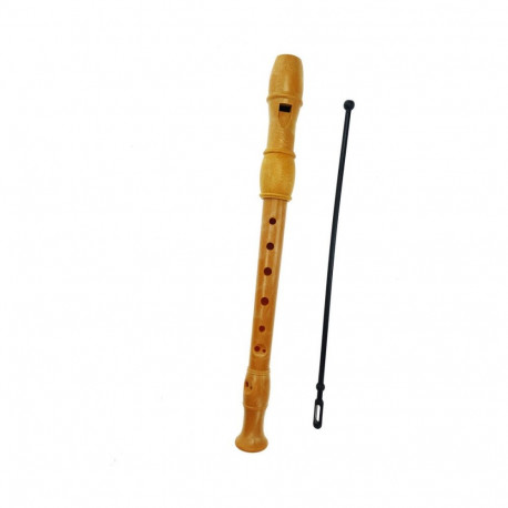 Recorder Reig