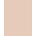 BOURJOIS Paris Always Fabulous Powder Foundation (7ml) (300 Rose Sand)