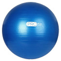 Profit 65cm gym ball DK 2102