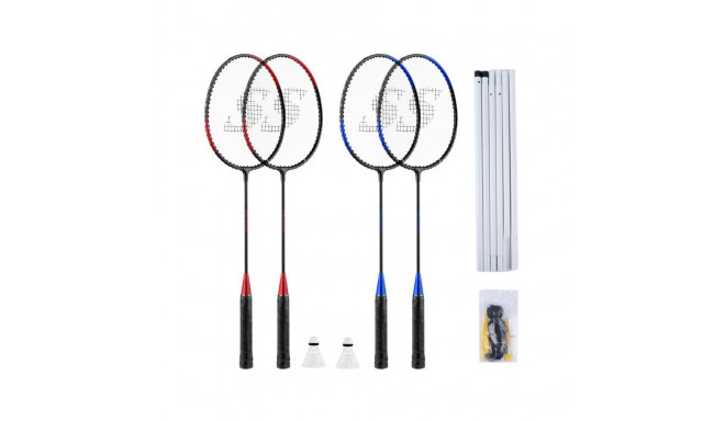 SMJ sport TL001 badminton set