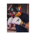 Boxing gloves Yakmaspor lion 14 oz 10034214OZ (14 oz)