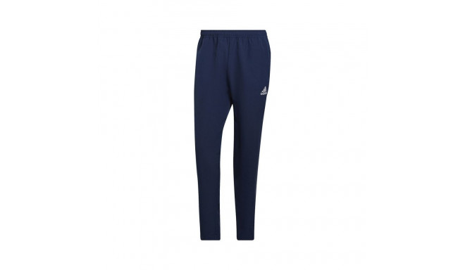 Adidas Entrada 22 Pre Panty M HB5329 pants (S)