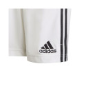 Adidas Juventus Turin Home Jr GR0606 shorts (164)