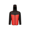 Regatta Modular Thermal M TRA517 92F jacket (L)