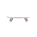 Tempish Buffy Nature 1060000785 skateboard (MNT)