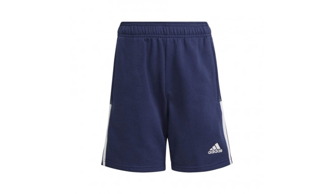 Adidas Tiro 21 Sweat Short Jr GK9679 (116 cm)