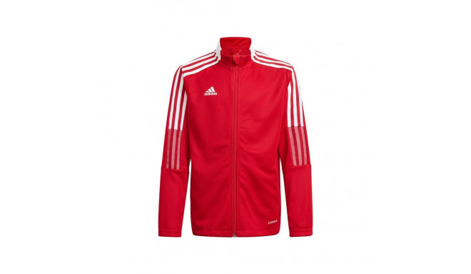 Adidas Tiro 21 Track Jr sweatshirt GM7312 (176cm)