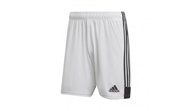 Adidas Tastigo 19 Shorts M DP3247 shorts (L)