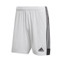 Adidas Tastigo 19 Shorts M DP3247 shorts (S)